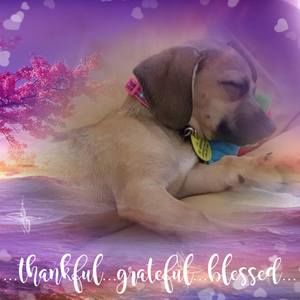 Meet your Posher, Becky